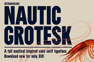 Nautic Grotesk - Modern Display Font