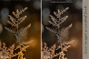Golden Lightroom Presets, an Action Add-On by CL Creative Studio (Thumbnail 5 of 9)