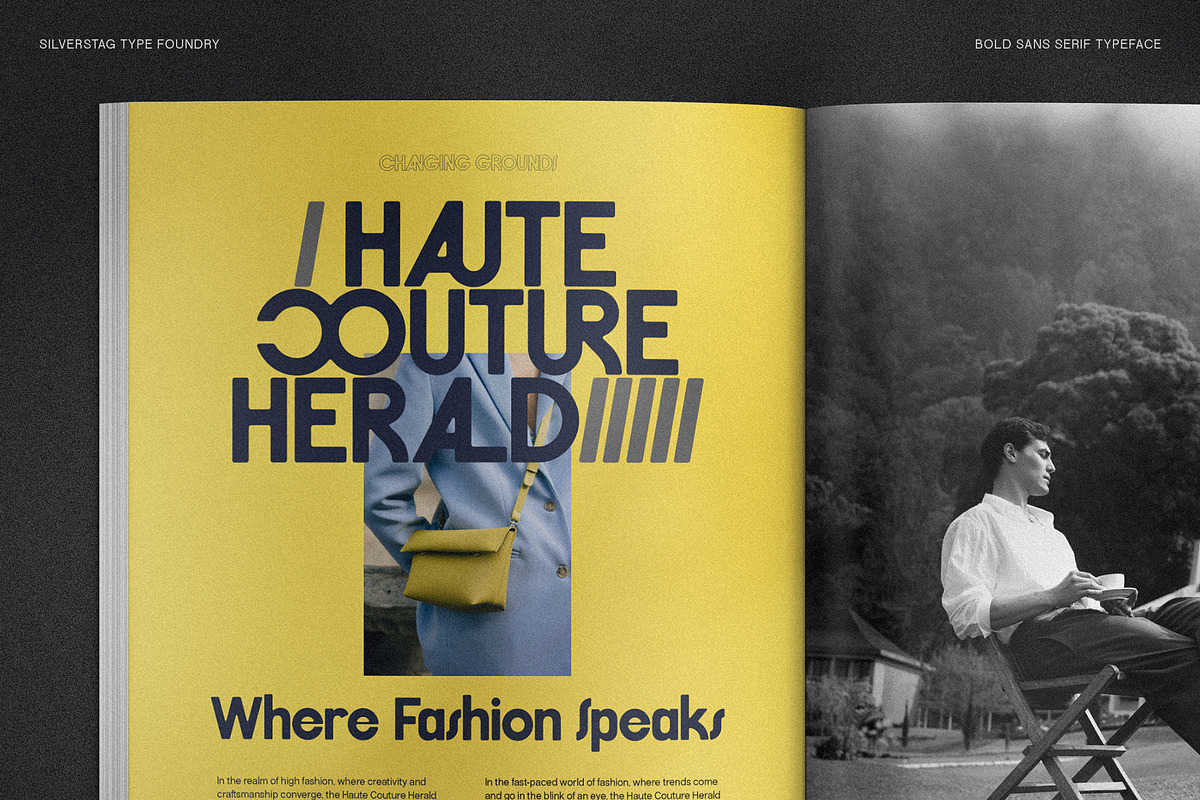 FlyBridge - Bold Ligature Rich Sans, a Sans Serif Font by SilverStag Type Foundry (Photo 2 of 30)