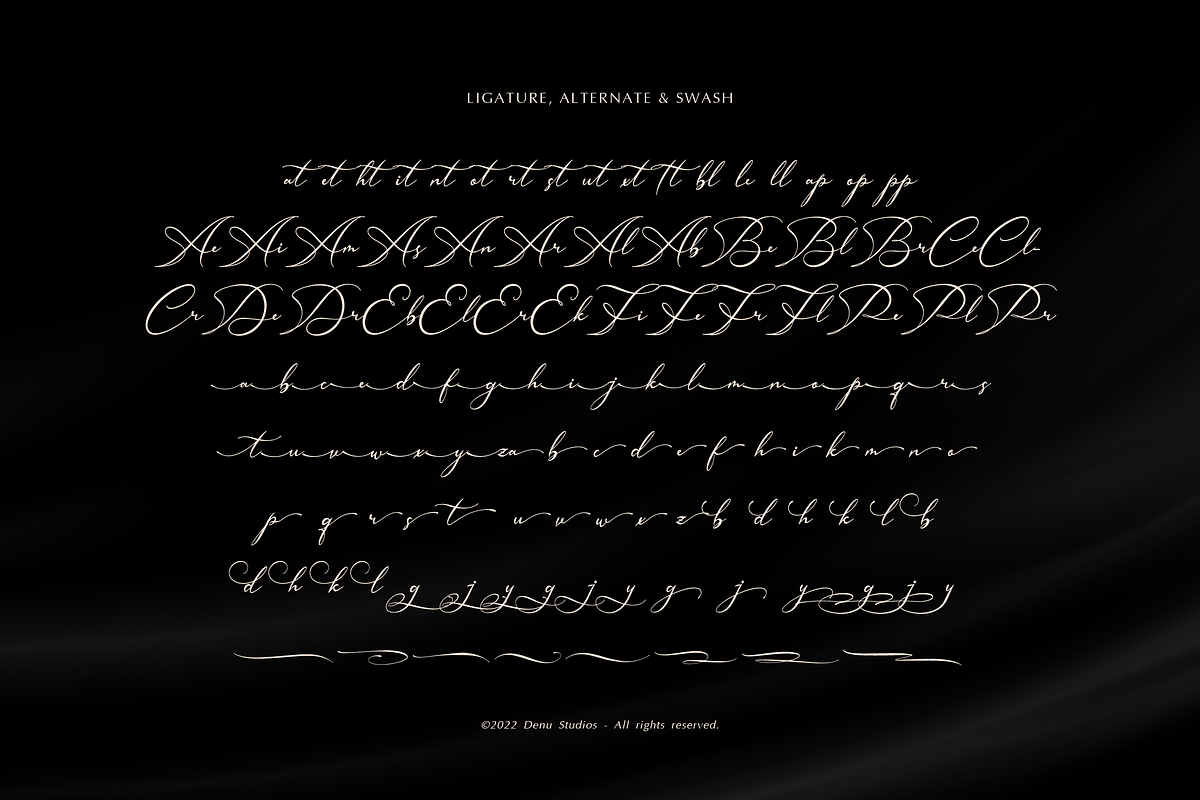 Hamedory Dumbless Modern Calligraphy, a Script Font by Denustudios (Photo 12 of 12)
