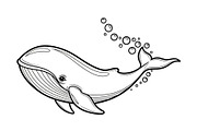 Whale Line Art Vector Bundle, an Illustration by yasushie (Thumbnail 4 of 51)