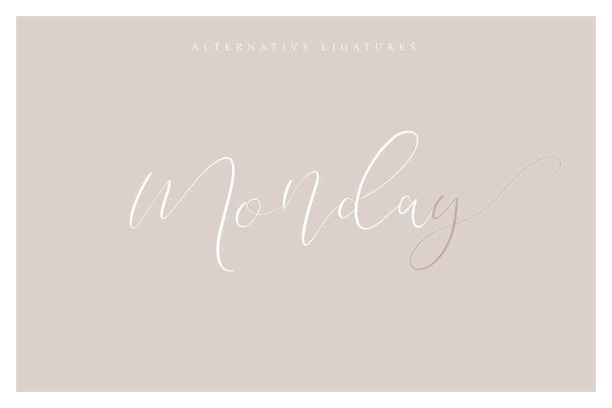Movelistica preview 4