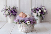 Newborn Basket Digital Backdrop, a Layer Style Add-On by Wild Honey Design Co. (Thumbnail 1 of 2)