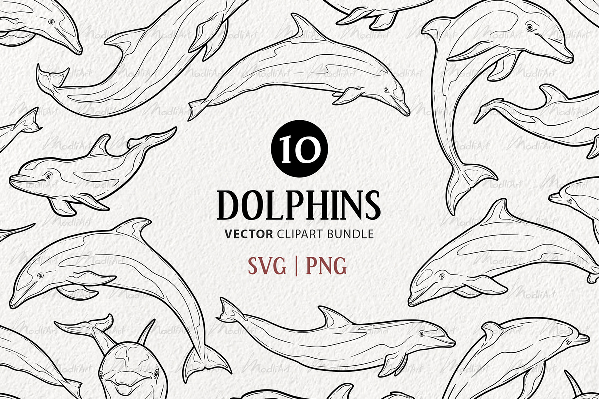 Dolphins Vector Line Art Set, an Animal Illustration by MadliArt