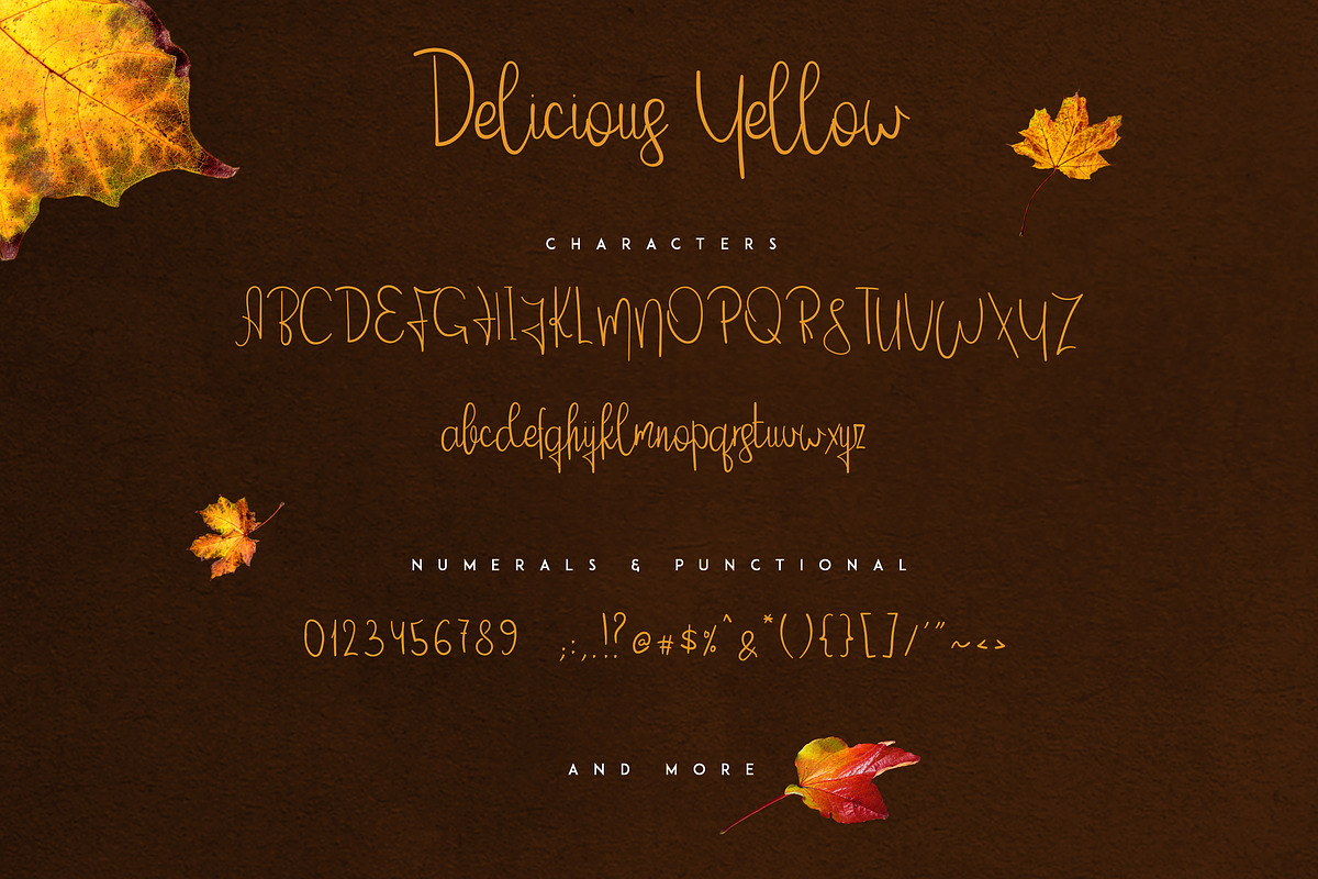 Delicious Yellow Script preview 4