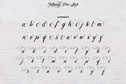 Bulliandry | Modern Calligraphy, a Script Font by Analogous (Thumbnail 12 of 14)