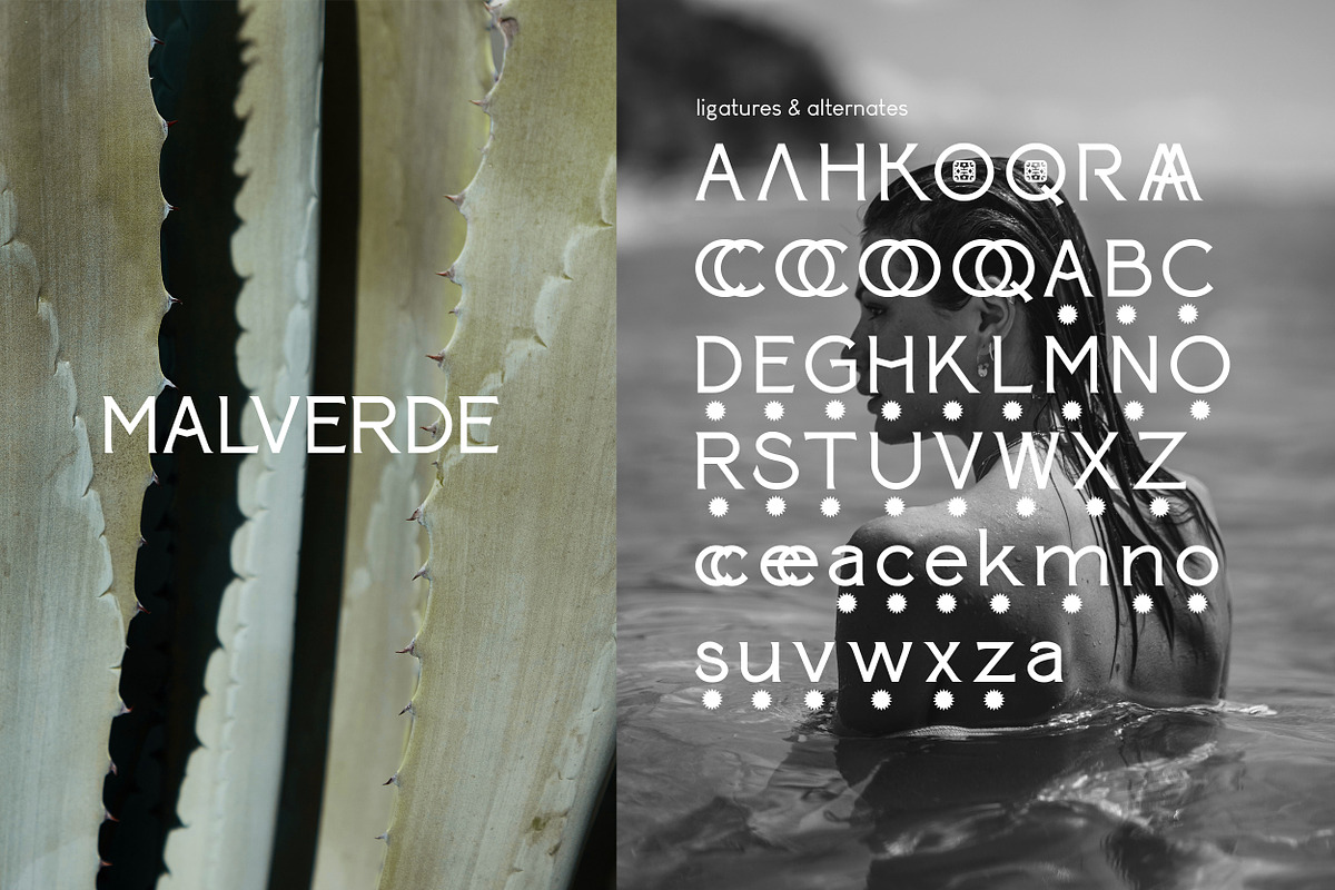 Paterna Serif Font, a Serif Font by Hishand Studio (Photo 2 of 10)