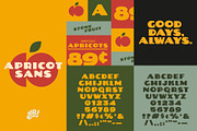 The Yeahright Type Bundle Vol 1, a Font by Yeahright Type (Thumbnail 9 of 11)