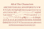 CS Reamus Disco, a Serif Font by Craft Supply Co. (Thumbnail 8 of 8)