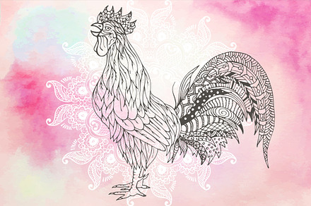 Rooster