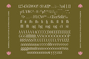 Bagvan Anstic Elegant Serif Font, a Serif Font by timelesstype.co (Thumbnail 19 of 20)