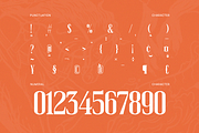 Muzzaro Elegant Condensed Serif Font, a Serif Font by Rasio Studio (Thumbnail 3 of 10)
