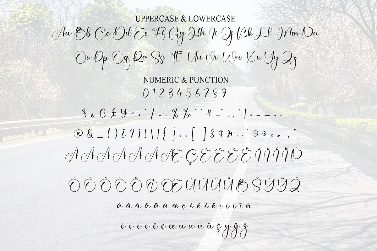 Country | Script Font, a Handwritten Font by Scratchones (Photo 7 of 9)