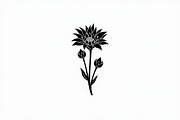 Minimal Flower Vector Pack, an Illustration by musafir_fashion (Thumbnail 19 of 21)