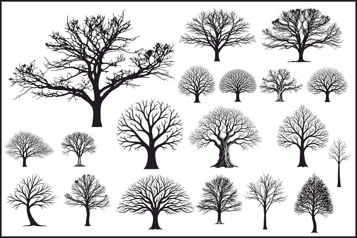 Leafless Tree SVG Bundle, an Illustration by Designer_Momina (Photo 1 of 3)