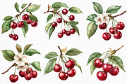 Watercolor Cherry Clip Art, an Illustration by Craft Nest (Thumbnail 3 of 12)