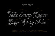 The Majority Script, a Script Font by Letterhend Studio (Thumbnail 5 of 10)
