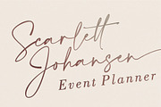Amalfi Coast // Chic Calligraphy., a Script Font by typeline studio (Thumbnail 11 of 16)