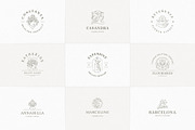 36 Botanical Logo Templates | Canva, a Branding & Logo Template by Vasya Kobelev (Thumbnail 5 of 10)