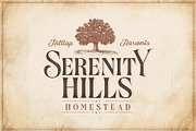 Devils Cut - Vintage Label Typeface, a Serif Font by Surplus Type Co (Thumbnail 3 of 9)