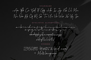 Suddenly - Signature Script, a Script Font by Sarid Ezra (Thumbnail 10 of 10)