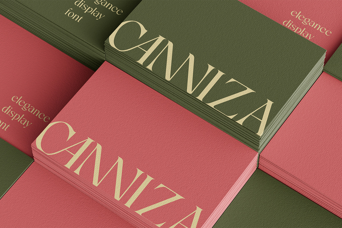 Canniza - Display Serif Font, a Serif Font by Prominent & Affluent (Photo 8 of 8)
