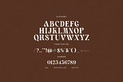 Varcon Elegant Serif Font, a Serif Font by Graphicxell (Thumbnail 8 of 8)