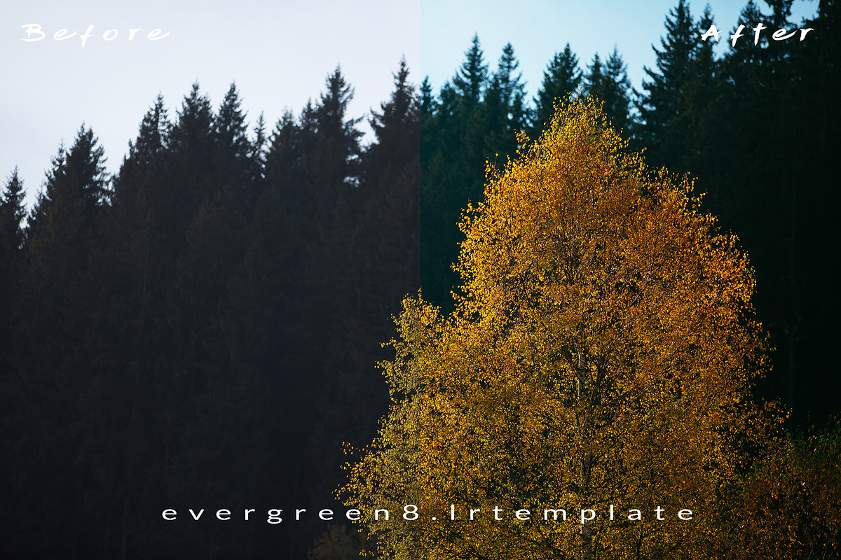 Ever Green 10 Lightroom Presets., an Action Add-On by MorningStar (Photo 3 of 11)