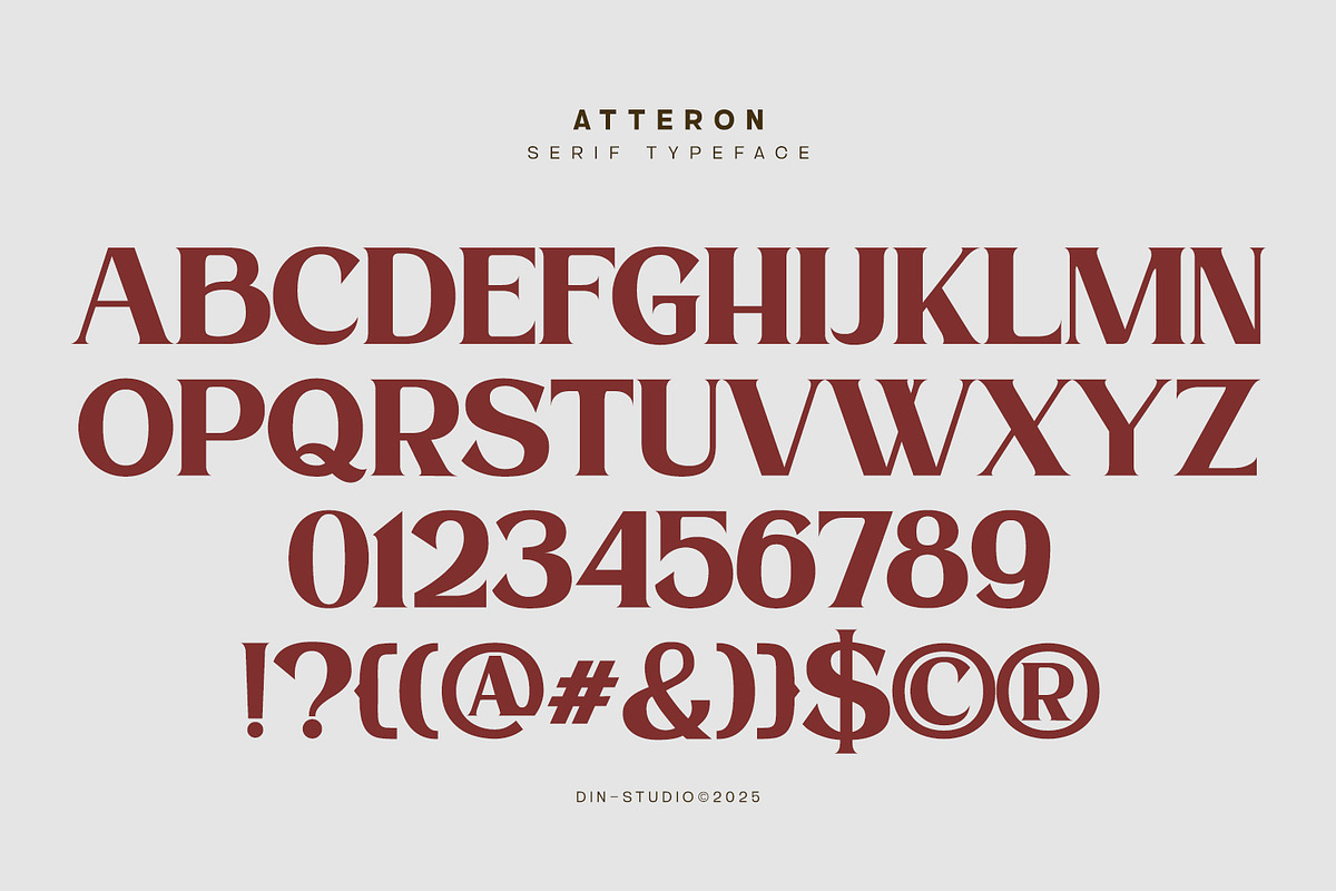 Atteron-Elegant Serif Font, a Serif Font by din-studio.com (Photo 9 of 16)