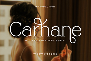 Carhane Modern Ligature Serif, a Serif Font by Vadovastd