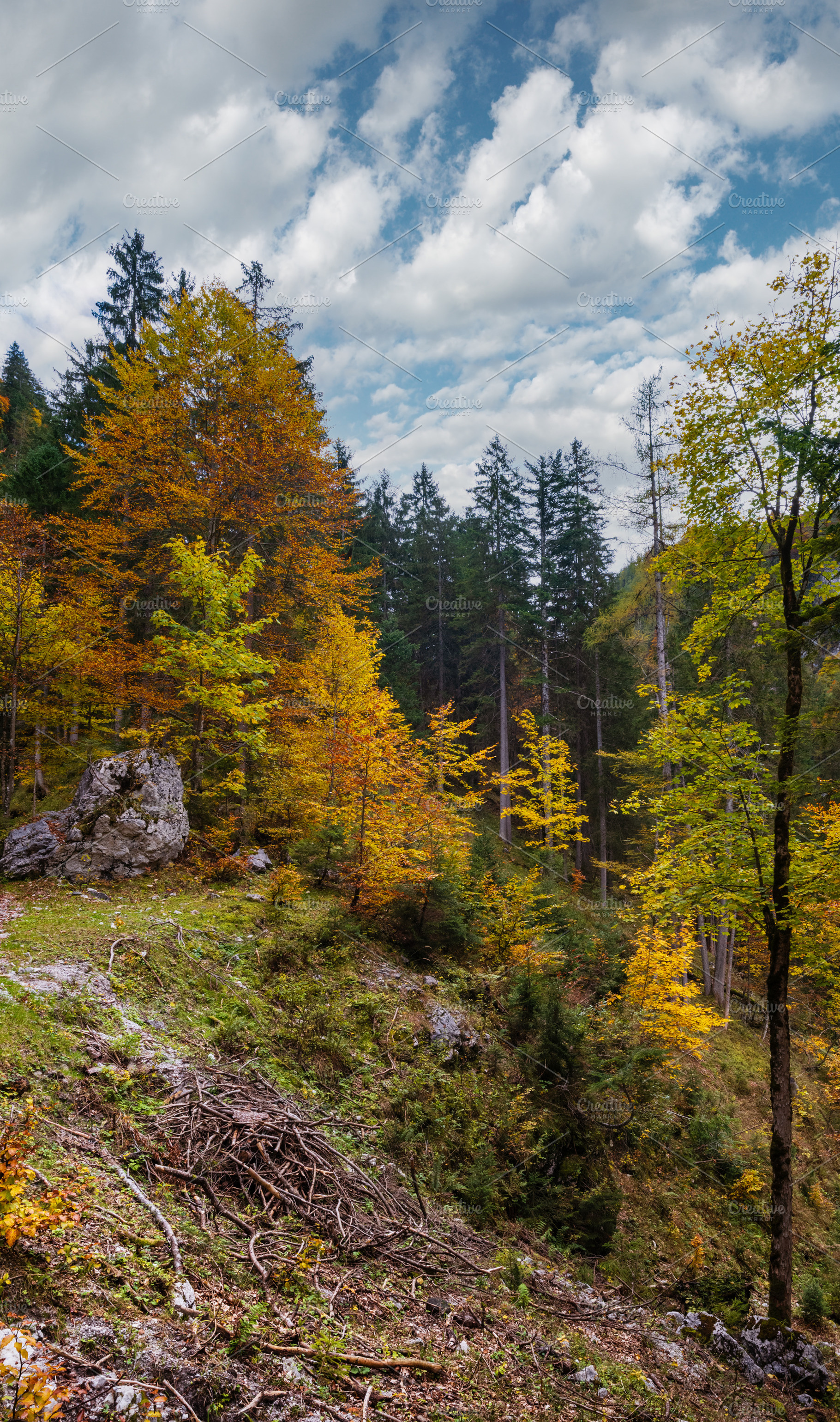 Peaceful autumn Alps mountain forest view. Near Gosauseen or Vor, a Nature Photo by YuriyB