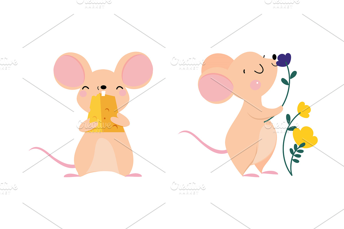 Cute adorable mice in different, an Animal Illustration by TopVectors