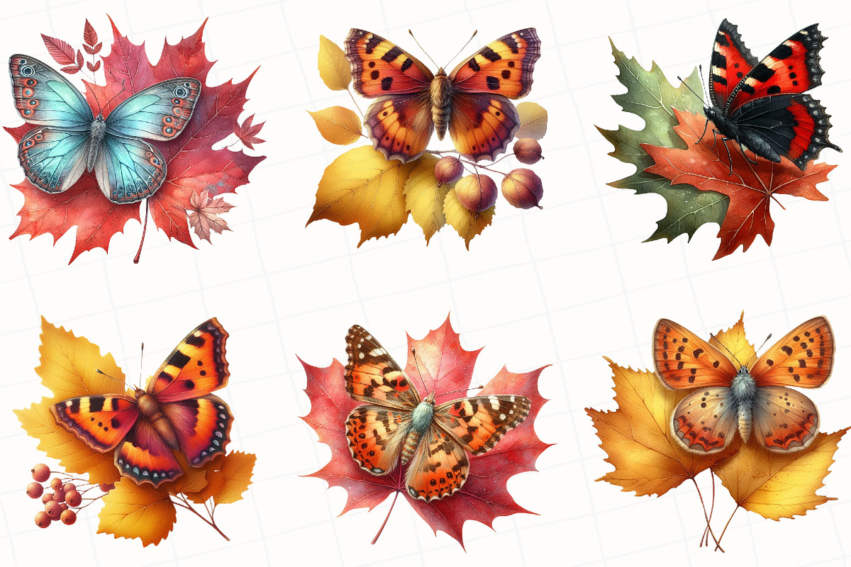 Watercolor Autumn Butterfly Clipart, an Illustration by OK Design (Photo 2 of 5)