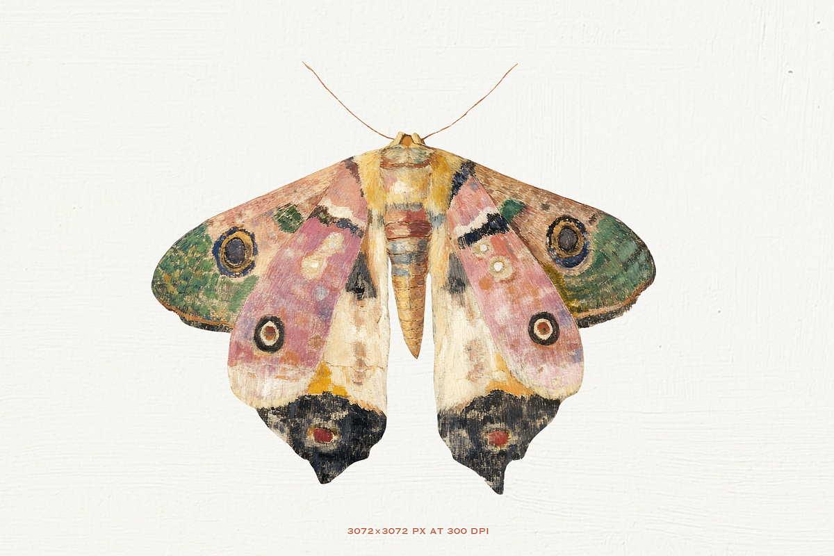 70 Watercolor Luna Moth Clipart, an Animal Illustration by Digital Museum (Photo 2 of 7)