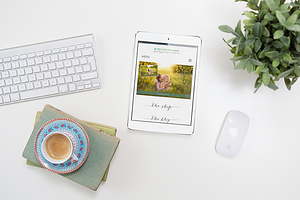 Styled Desktop Mockup