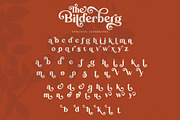 Bilderberg | Luxury Bold Serif, a Serif Font by Almeera Std (Thumbnail 18 of 25)