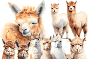 Watercolor Alpaca Clipart, an Object Graphic by ArtisticTimberStudio (Thumbnail 2 of 2)