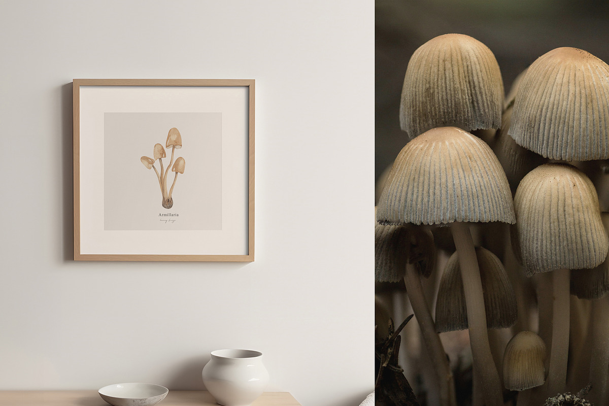 Mushrooms Watercolor Clipart, an Education Illustration by Ooh Lily (Photo 5 of 8)