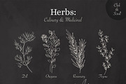 BOTANY BUNDLE - 6in1, a Food Illustration by amber&ink (Thumbnail 10 of 19)