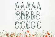 Bloom | A Delicate Decorative Font, a Font by Emalee Roth (Thumbnail 2 of 5)
