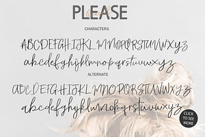 The Signature Font Bundle