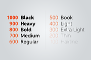 Gentleman Complete Family, a Sans Serif Font by Juraj Chrastina (Thumbnail 4 of 5)
