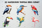 Watercolor Tropical Birds Clipart, an Animal Illustration by CropUp Creative (Thumbnail 3 of 5)