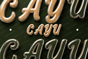 Cayu - Refined Modern Serif, a Serif Font by Astuti Studio (Thumbnail 8 of 23)