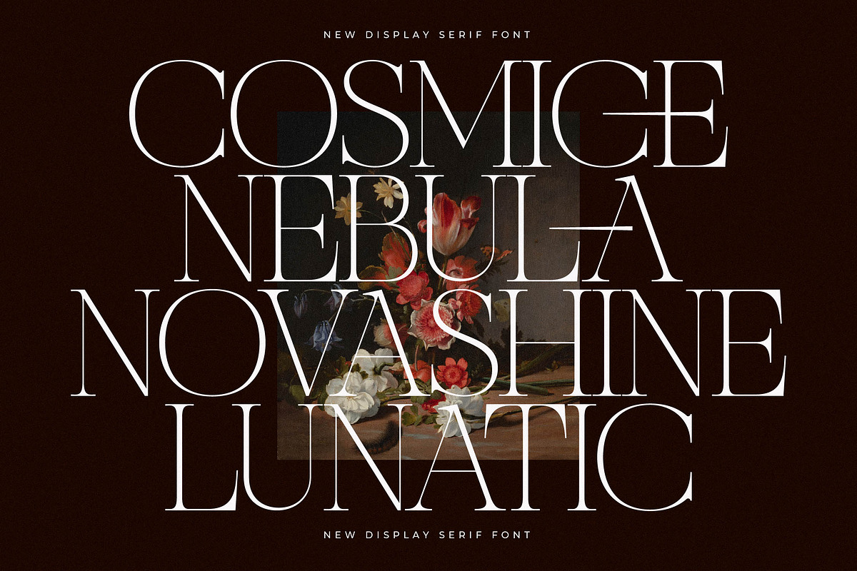 Nocashe New Display Serif Font, a Serif Font by Storytype Studio (Photo 5 of 15)