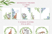 Australian Wildlife Watercolor Set, an Animal Illustration by Catch the Dream Art (Thumbnail 5 of 11)