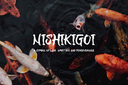 Ryukosei - Japanese Display Font, a Handwritten Font by Aksapix Studio (Thumbnail 7 of 10)
