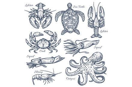Sea animals and seafood isolated sketch set