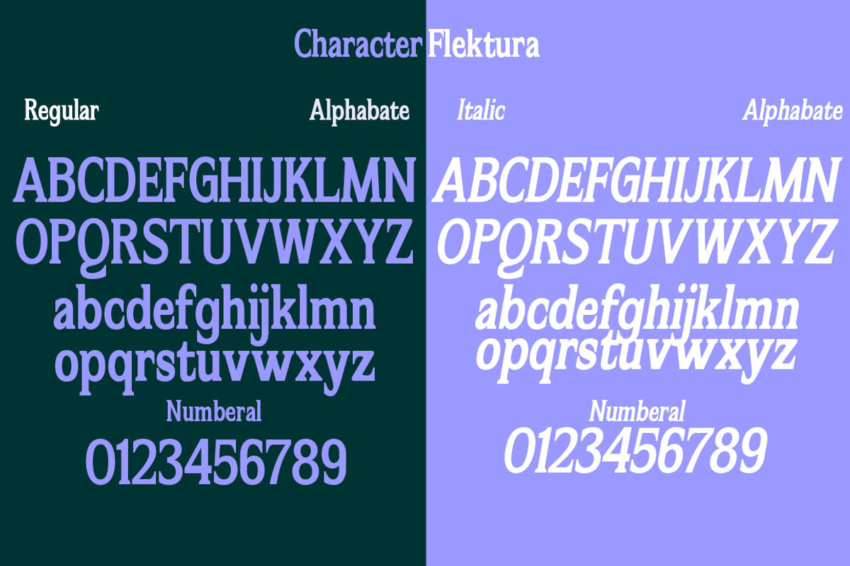 Flektura, a Serif Font by Propertype (Photo 8 of 10)