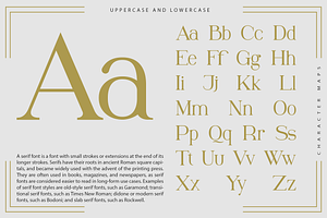 Winchester - Modern Serif Typeface